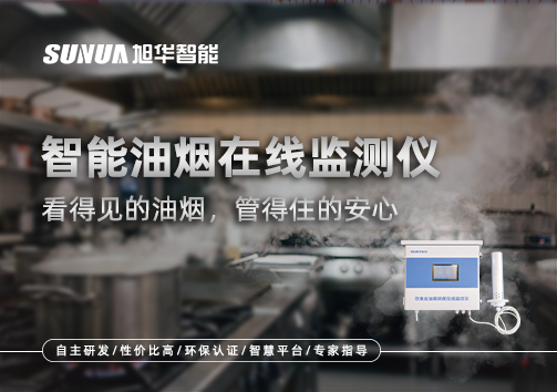 智能油烟在线监测仪：看得见的油烟，管得住的安心